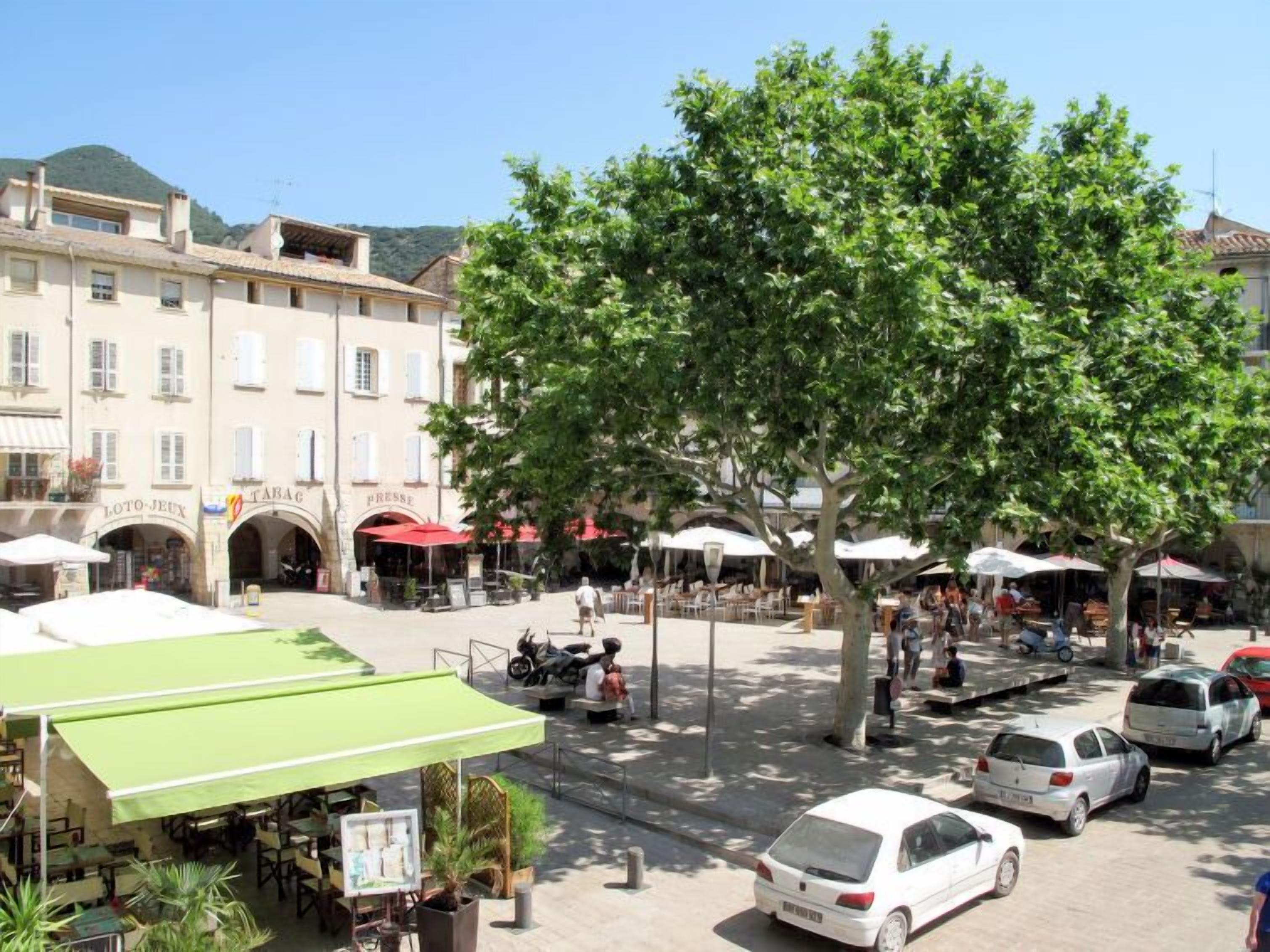 A sunny square with outdoor seating, a tree, and parked cars.