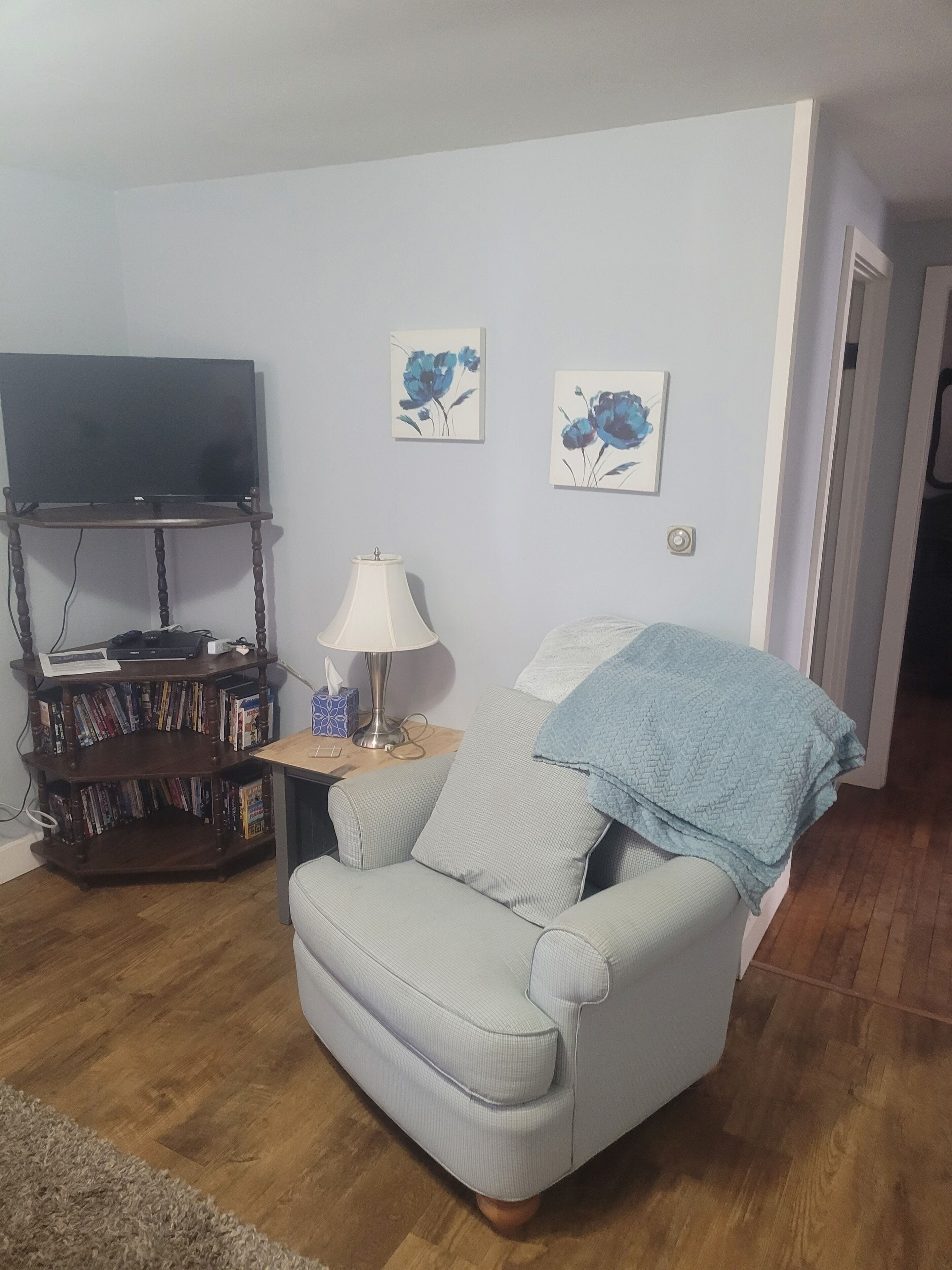 Una sala de estar con televisor sobre un mueble bajo, una estantería, una lámpara y dos cuadros con motivos florales en la pared.