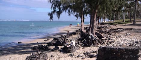 بالقرب من الشاطئ