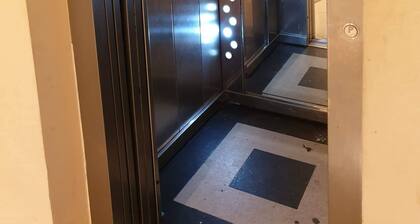 Stunning Green Studio 43