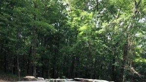 A stone pathway leading through a forested area with a stone bench in the center. - English Cottage near Branson Attractions (Lampe)