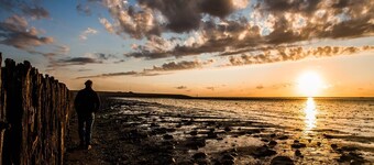 Prachtig Huisje in het Groen met Uitzicht Over de Landerijen, aan de Waddenkust