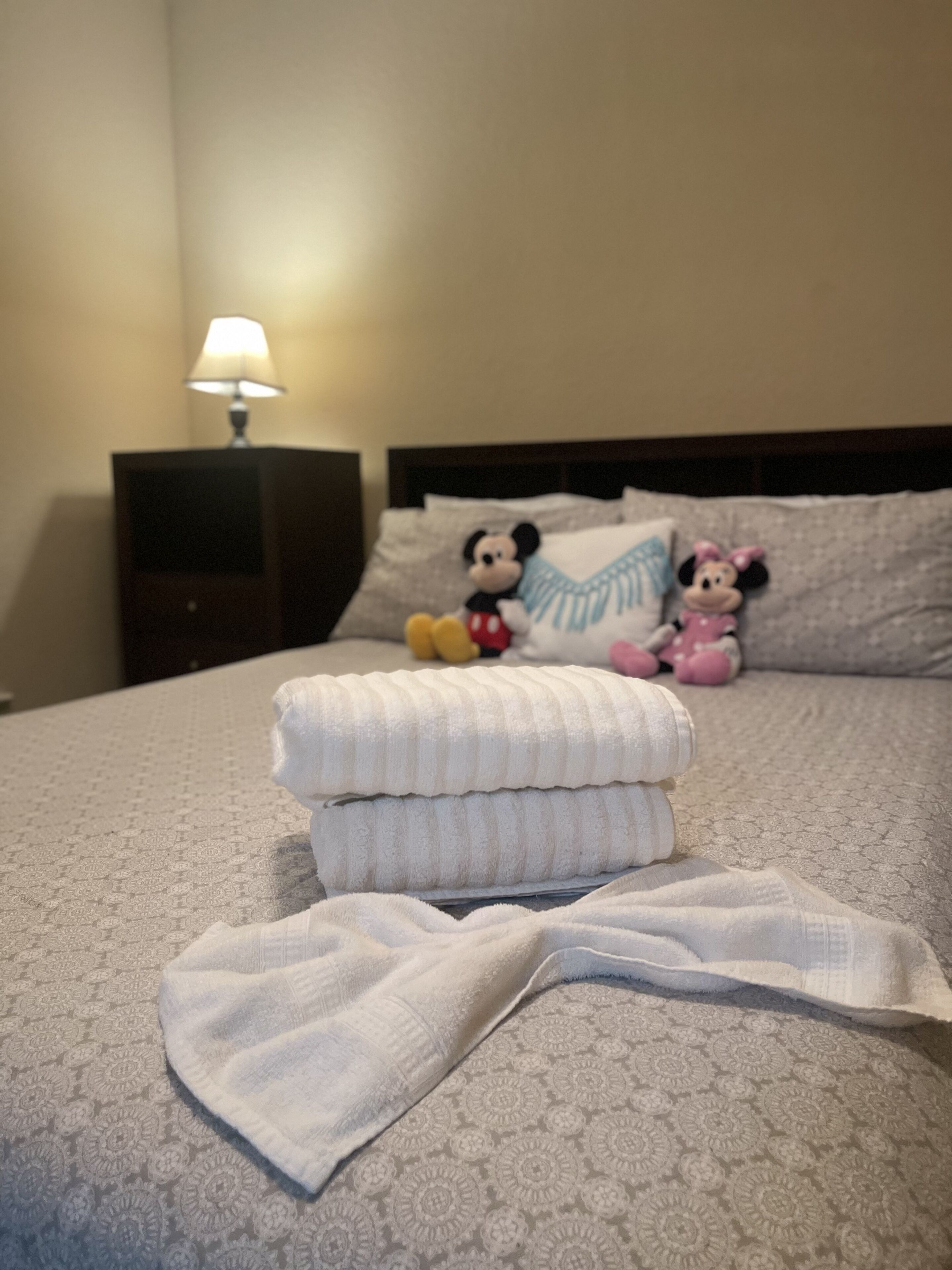 Apartament near Disney