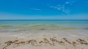 A beach with clear water and seaweed on the sand.