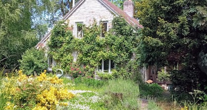 Cosy Somerset cottage, open fire, country walks, pet friendly.