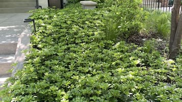 Jardines del alojamiento