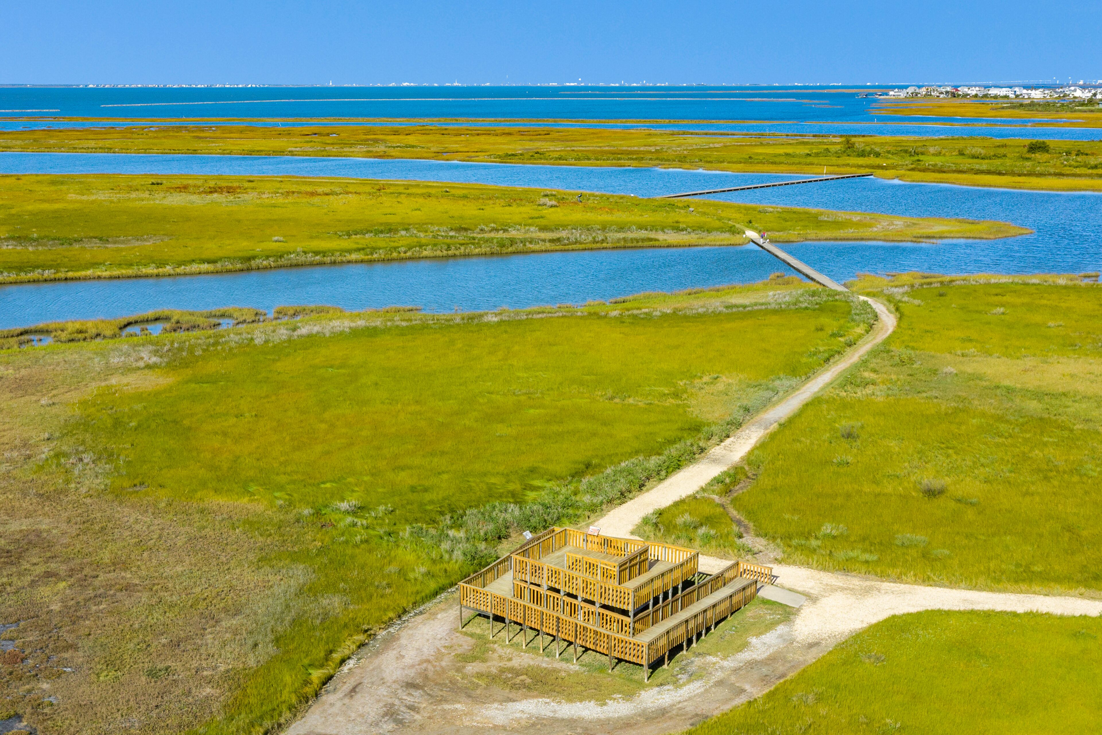 Enjoy views of the park and beyond from the observation tower.