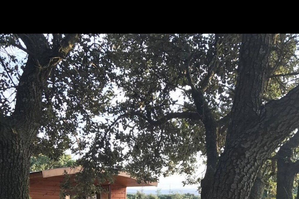 Roulotte toute équipée en garrigue au calme