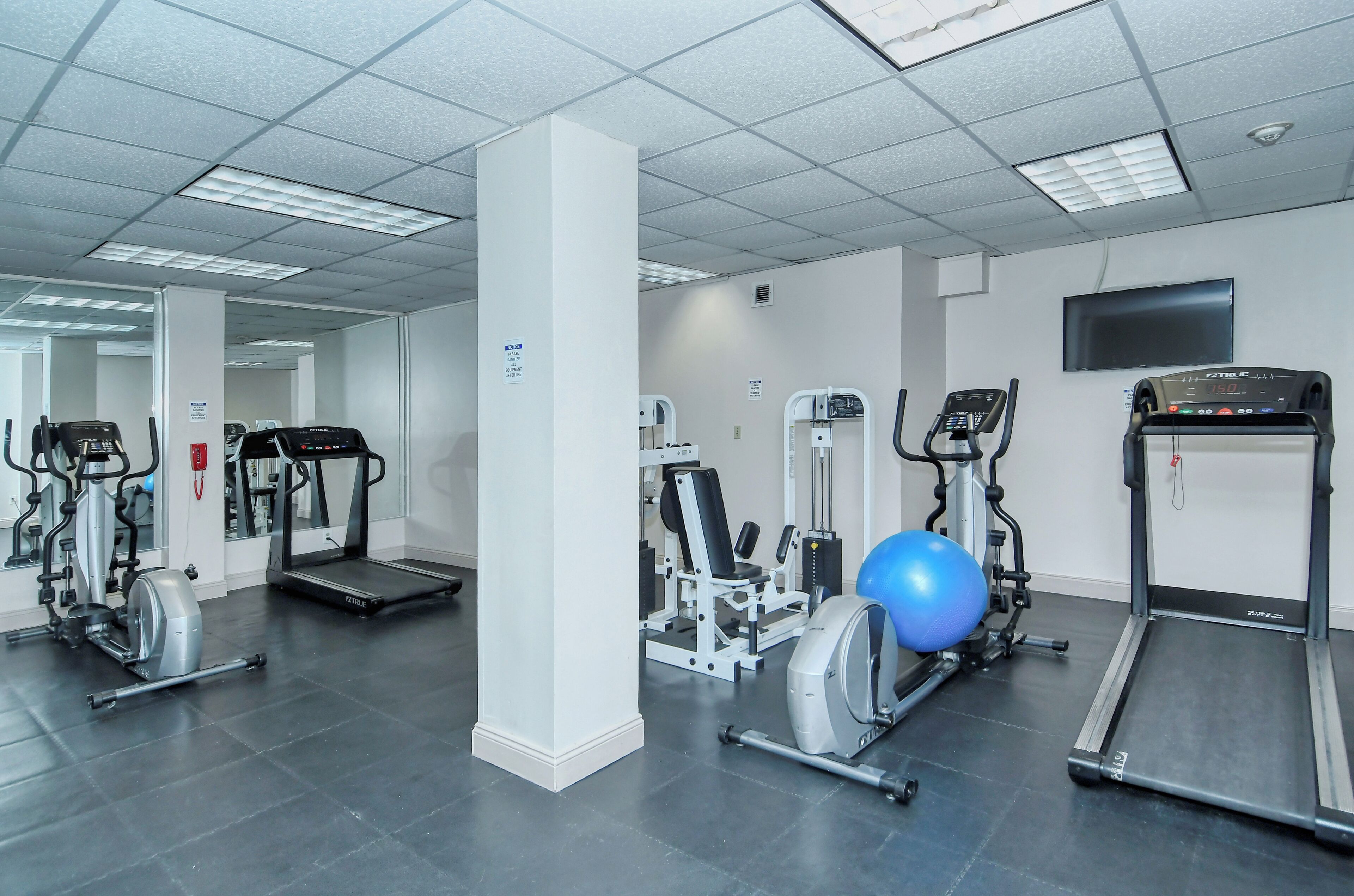 Ett gym med löpband, crosstrainers och en blå träningsboll.