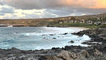 A coastal landscape with rocky shores, waves, and a distant residential area.