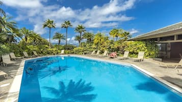 A swimming pool with lounge chairs and palm trees.