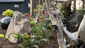 En rustik have med store sten, en træskulptur og forskellige planter.