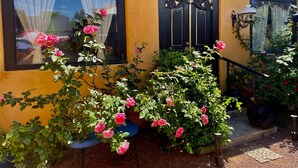 A yellow building with black doors and windows, surrounded by potted plants and flowers. - The Bali House Experience: Enjoy The Peace (Tucson)