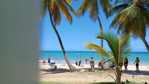 A beach scene with palm trees, a sandy shore, and people in the water. - Beach HotelCndo 1562 (Carolina)