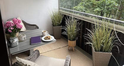 Modern condo close to all the amenities- 5 min walk to the Marina