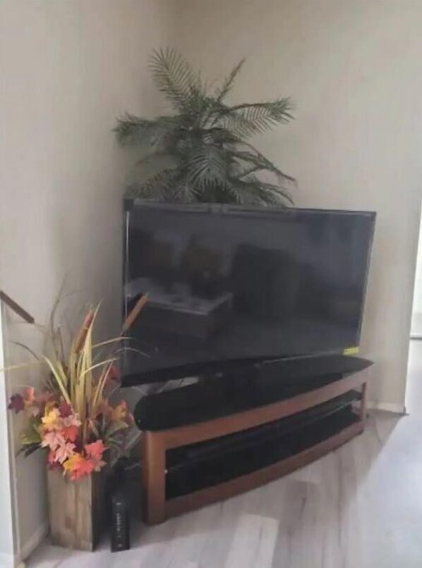 A flat-screen TV mounted on a wooden stand with a plant beside it. - Lake View Home, just a few minutes away from the Hard Rock Guitar Hotel & Casino (Pembroke Pines)