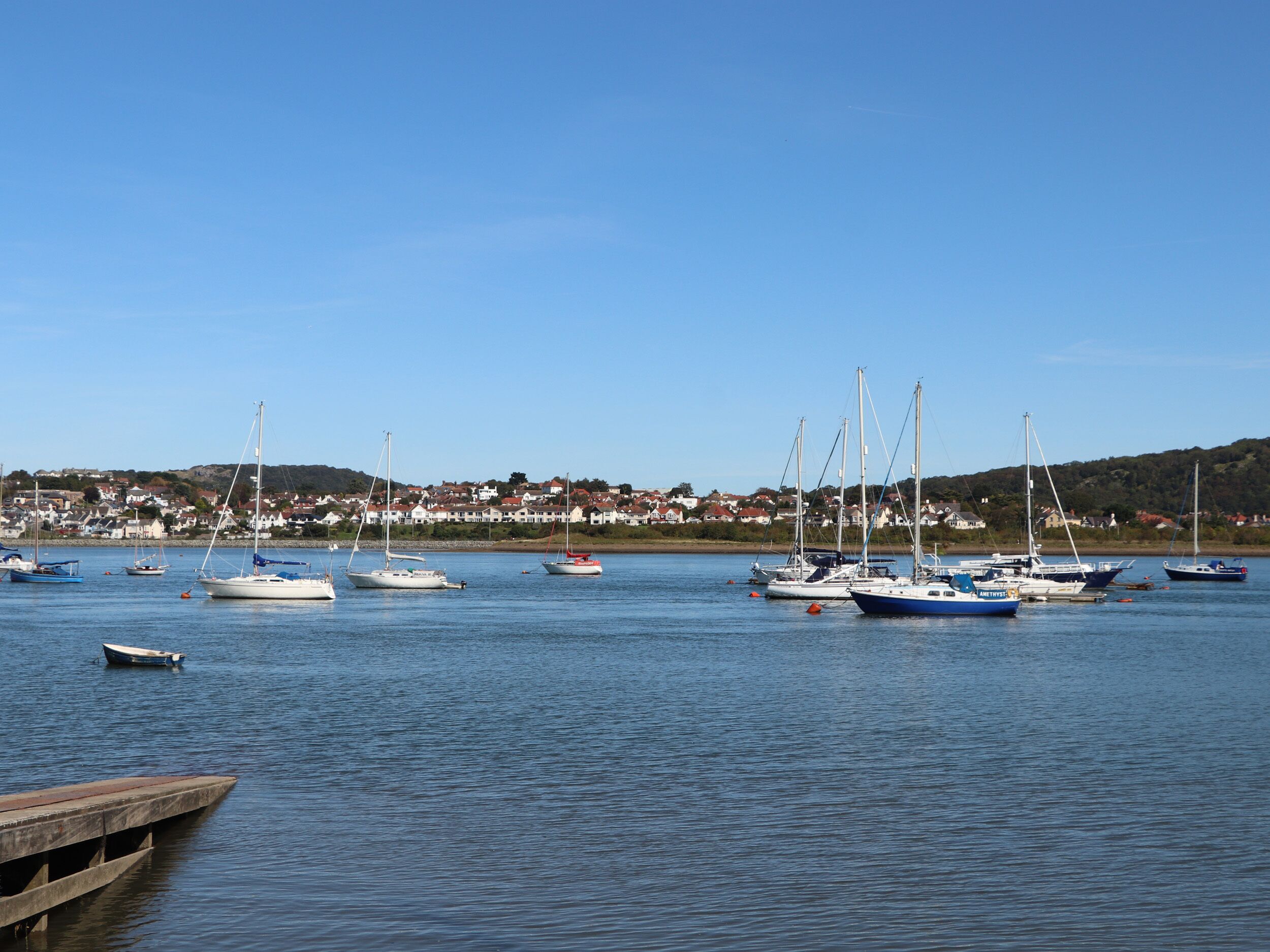 A marina with several sailboats docked, a wooden pier, and a backdrop of houses along the water.