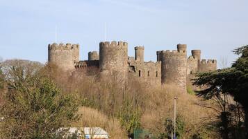 Un castillo histórico con múltiples torres y una muralla fortificada, rodeado de árboles y un camino pavimentado con señales de estacionamiento.
