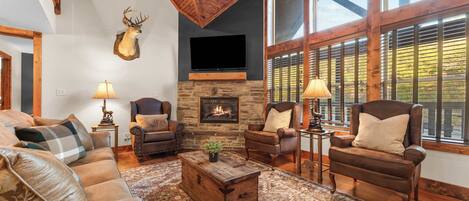 Télévision, cheminée, jeux vidéo, espaces bureaux