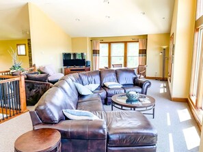 TV, fireplace, video games, DVD player