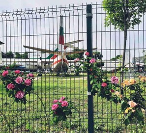 Casa | Opções para refeição ao ar livre