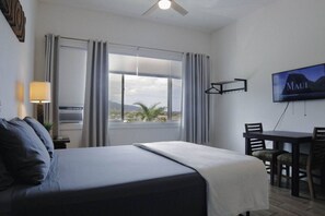 1 chambre, bureau, fer et planche à repasser, lit parapluie