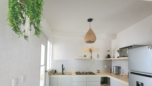 Une cuisine moderne dotée d’un îlot central, d’appareils électroménagers intégrés et d’une plante suspendue.