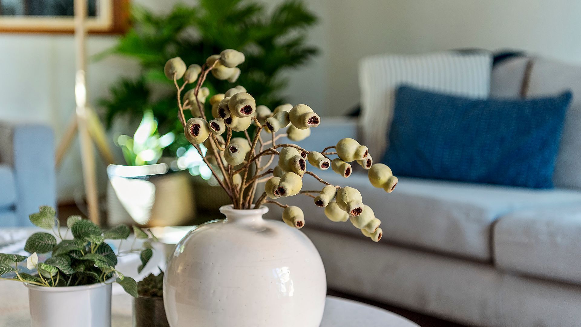 Una sala de estar con un sofá blanco, una almohada azul y una maceta blanca con una planta.