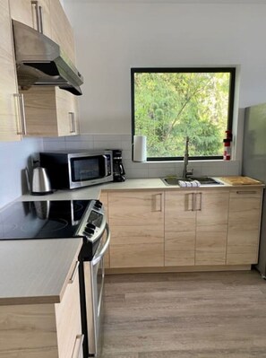 Kühlschrank, Mikrowelle, Ofen, Herdplatte