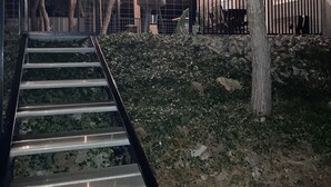 Una escalera conduce a un espacio exterior cubierto con luces colgantes, rodeado de árboles y un edificio con una ventana visible.