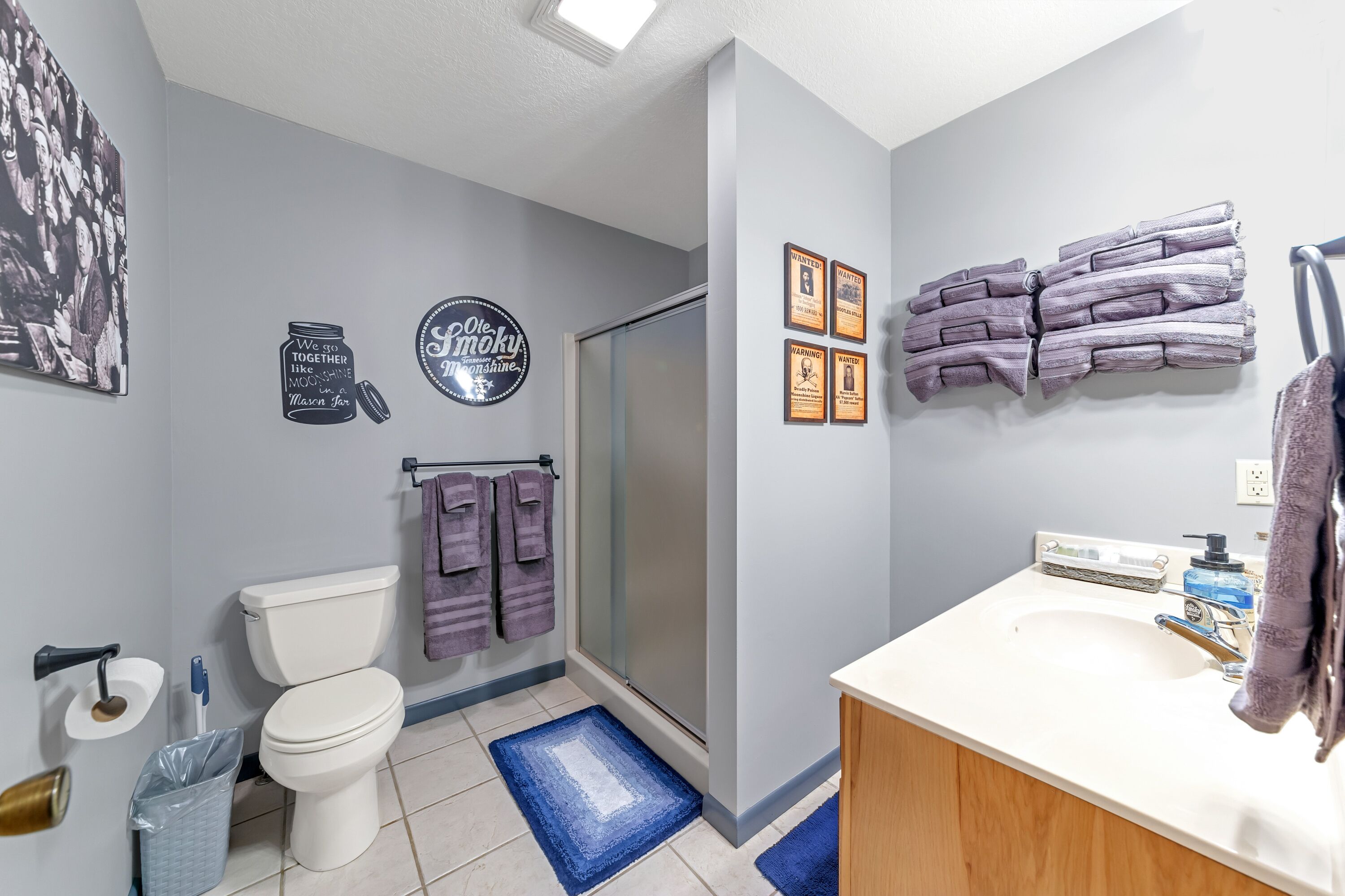 Lake View of Fontana Lake close to Great Smoky Mountains and Tail of the Dragon