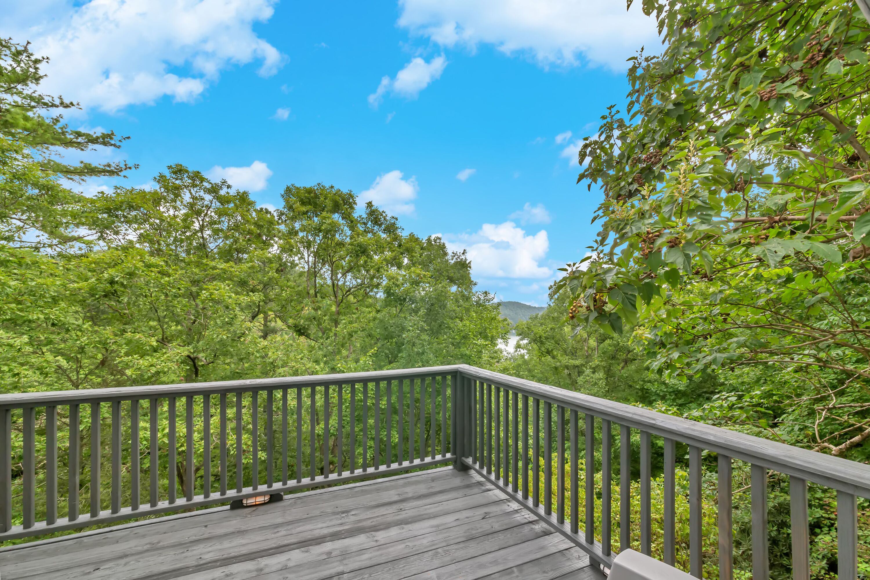 A wooden deck with a railing overlooking a dense forest.