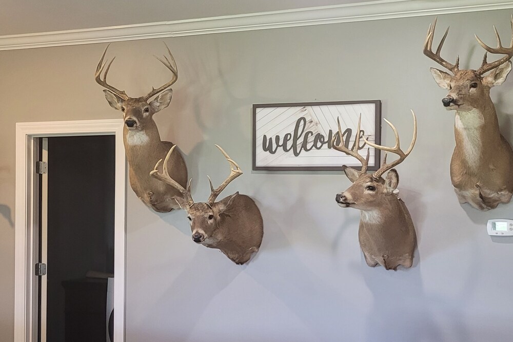 Country home getaway; great for nature lovers!