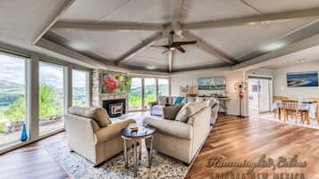 Télévision, cheminée, lecteur de DVD, table de tennis de table