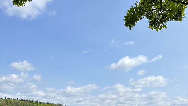 Vista panorámica de un lago con un primer plano de césped, una playa de arena y una orilla boscosa bajo un cielo despejado.