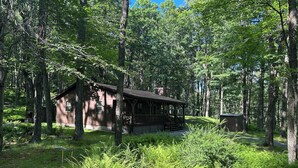 Una cabaña rústica rodeada de un denso bosque, con un porche y un cobertizo cercano.