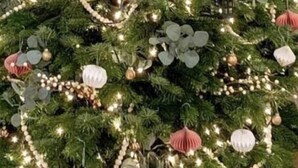A Christmas tree with lights and ornaments.