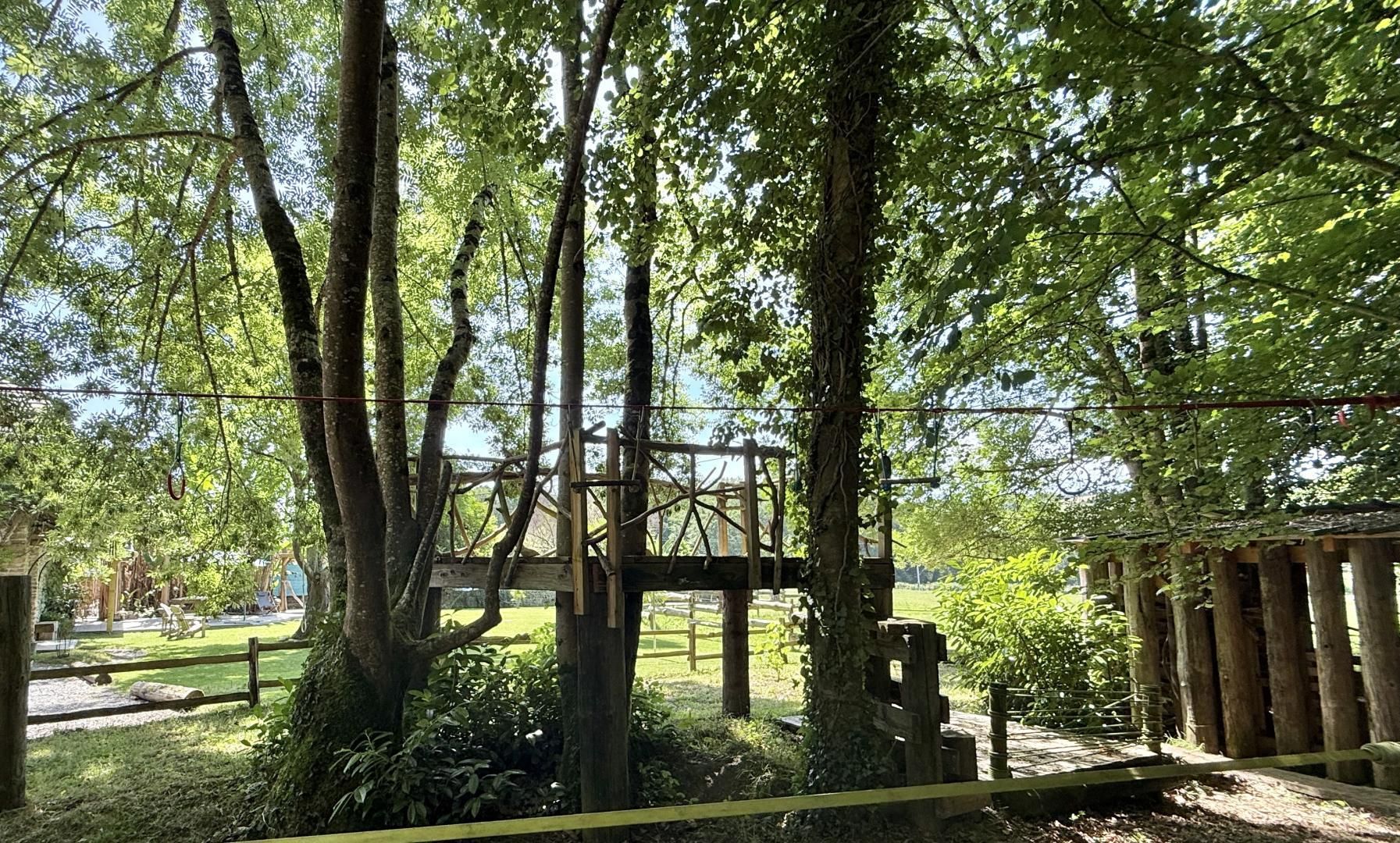 Un área boscosa con una estructura de madera, posiblemente un puente o un pasillo elevado, rodeada de árboles y follaje.