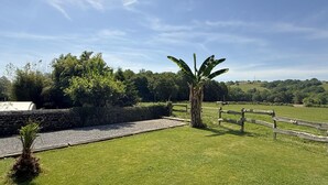 A grassy area with a stone wall, a wooden fence, and a banana tree. - Gite DU Chene - Ledeuix (LEDEUIX)