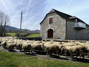 Exterior - Chez Algorry - Aramits (ARAMITS)