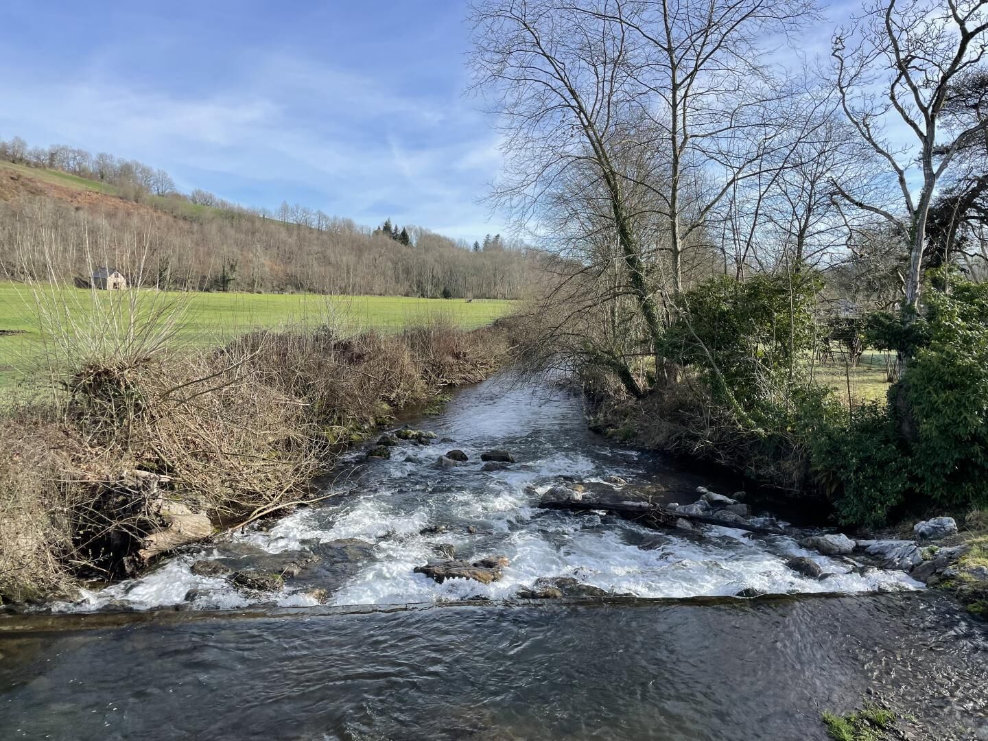 Un ruisseau aux eaux claires serpente à travers un paysage rural, bordé d’arbres et de champs à perte de vue.