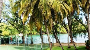 A basketball court with a net, surrounded by palm trees and a body of water in the background. - Charmant T1 avec vue sur la marina (Les Trois-Îlets)