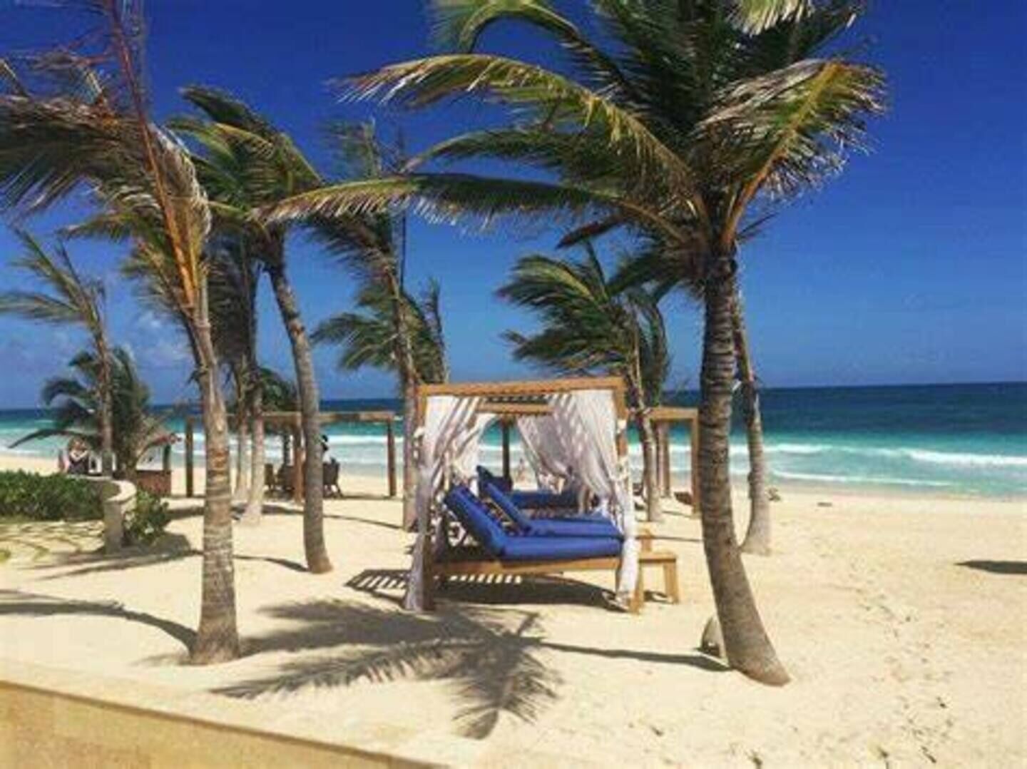 بالقرب من الشاطئ