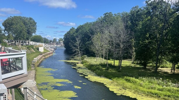 A riverside walkway with a wooden deck and railing, surrounded by greenery and trees. - The Spacious Canal Condo (Caseville)