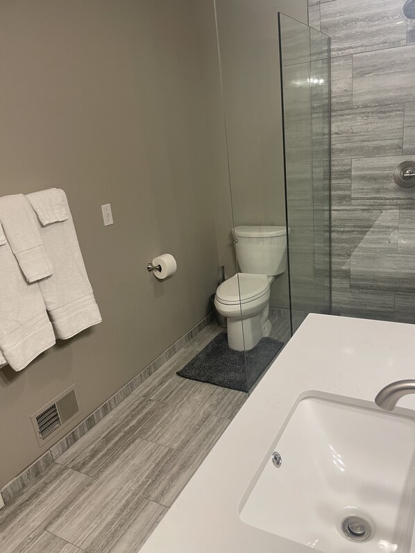 A modern bathroom with a glass shower enclosure, a white sink, and a toilet.