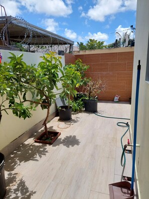 Un jardín en la azotea con plantas en macetas, una manguera y un poste azul.