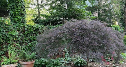 Historic Downtown Garden Oasis with Private Patio