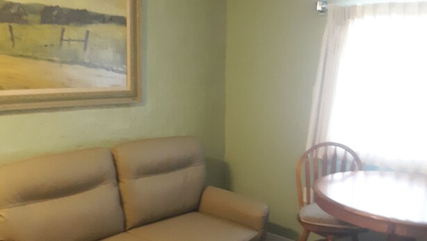 A living room with a sofa, a dining table with chairs, a painting on the wall, and a ceiling fan. - Magnolia Gallery & Inn - lodging in an 1864 building in a living  ghost  town. (Austin)