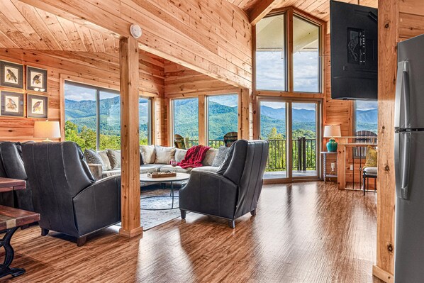 Smart TV, fireplace, video games, books