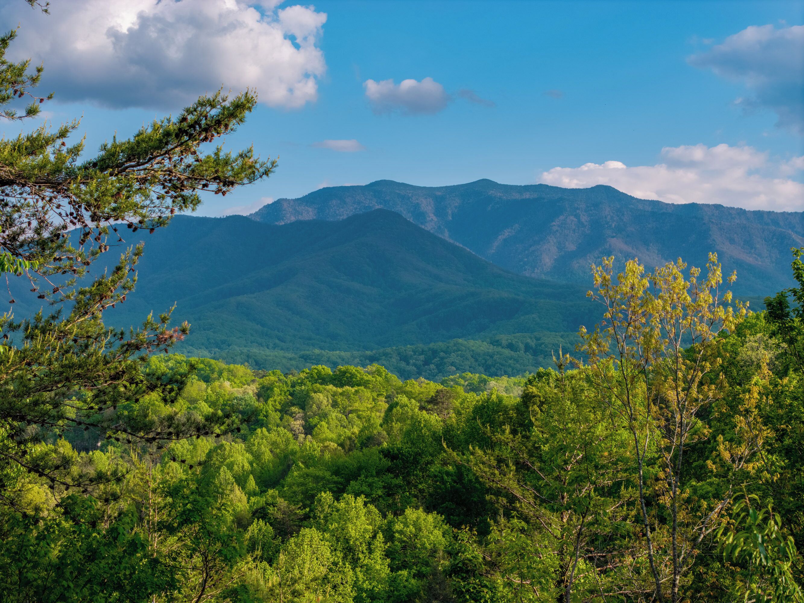 A mountainous landscape with dense forest and clear skies.